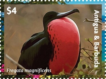 Discovering New World Beauty (1)