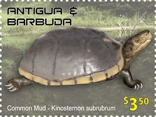 Beaches of Antigua & Barbuda