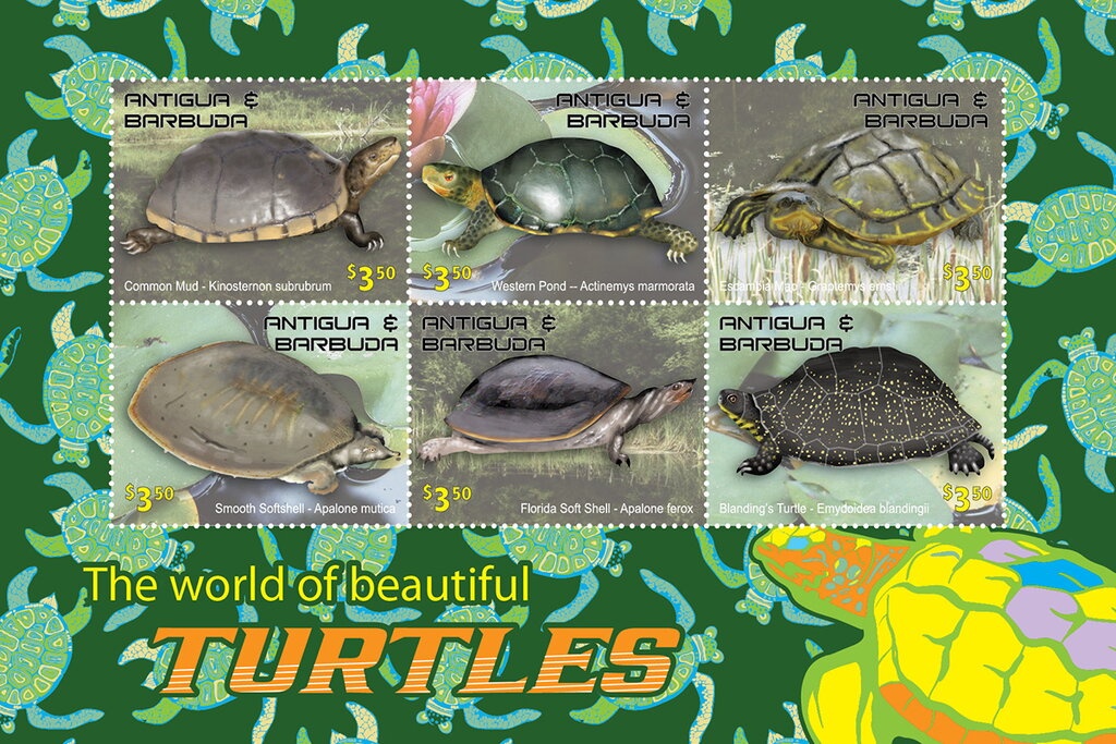 Pokémon - Charizard