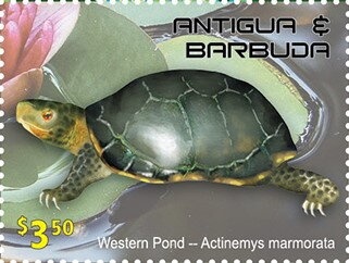 Princess Diana 50th Birth Anniversary