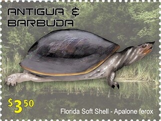 Year of the Horse Paintings by Liu Jiyu (1918-1983)