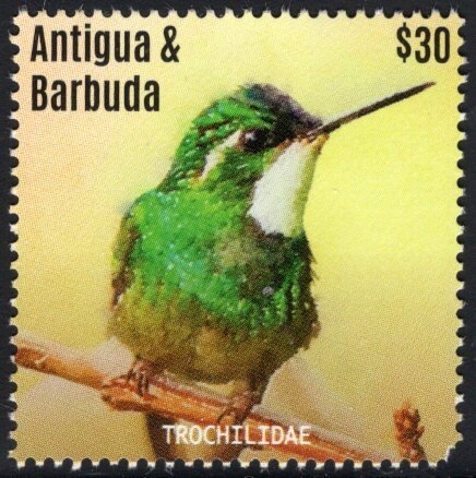 Iguazú Falls - chalky paper