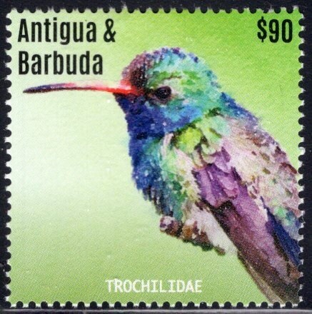 Yellow-headed Amazon (Amazona oratrix)