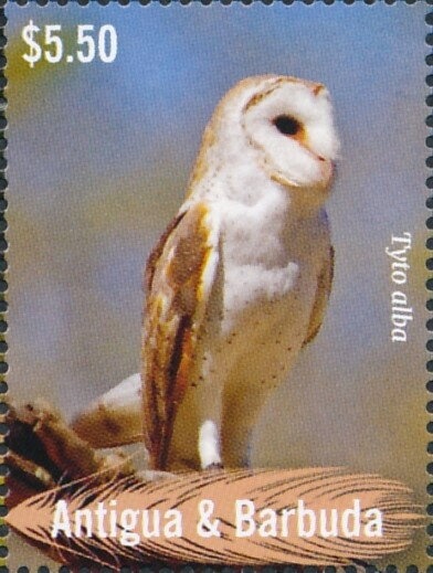 English Bulldog (facing right)