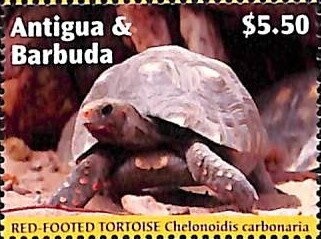 Allegory, Liberty Seated - perf 11½