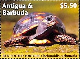 Summer Olympic Games 1992 - Barcelona (2)