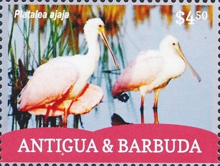 Carlos María de Alvear (1789-1853)