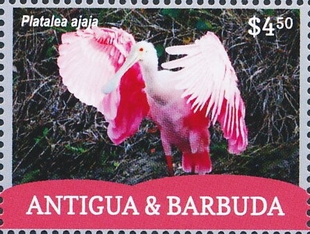 Molniya 8K78M Launch Vehicle