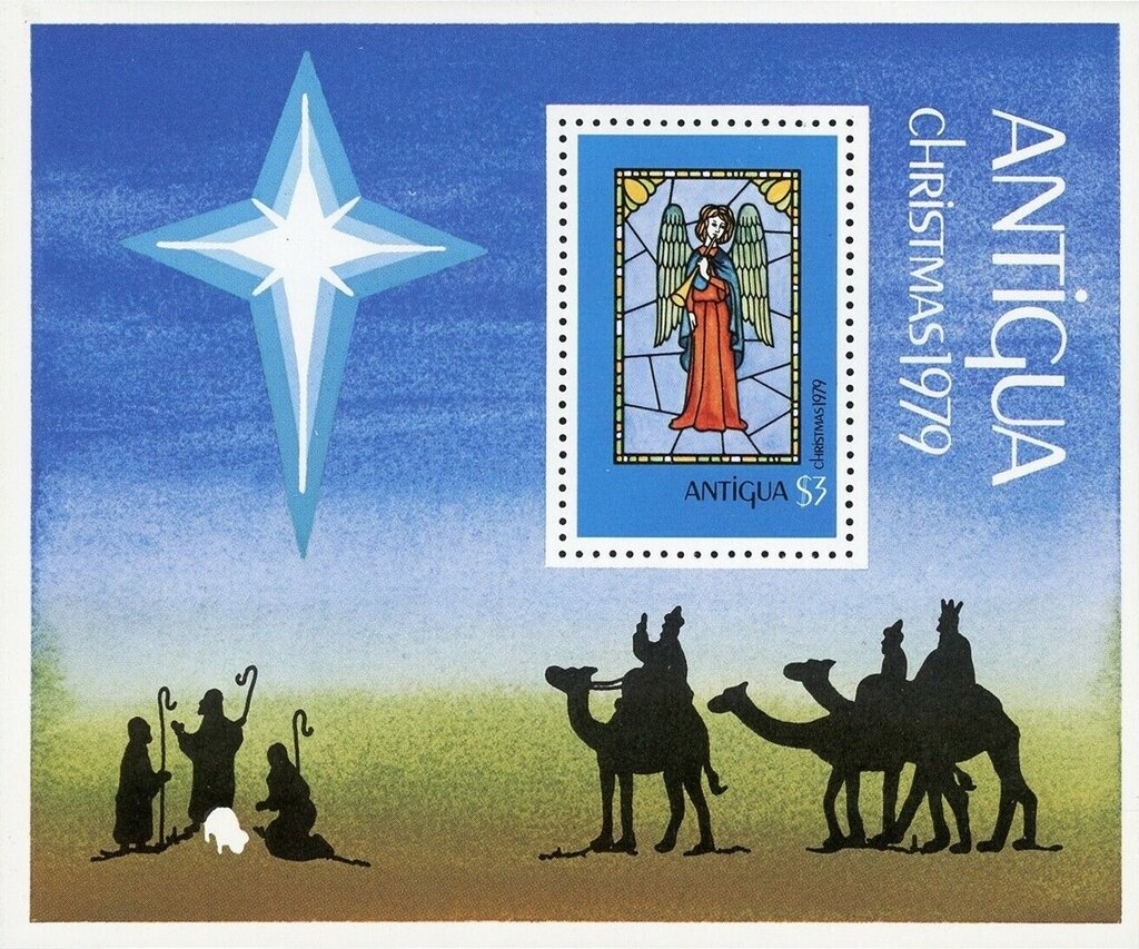 Blacktip Shark (Carcharhinus limbatus)