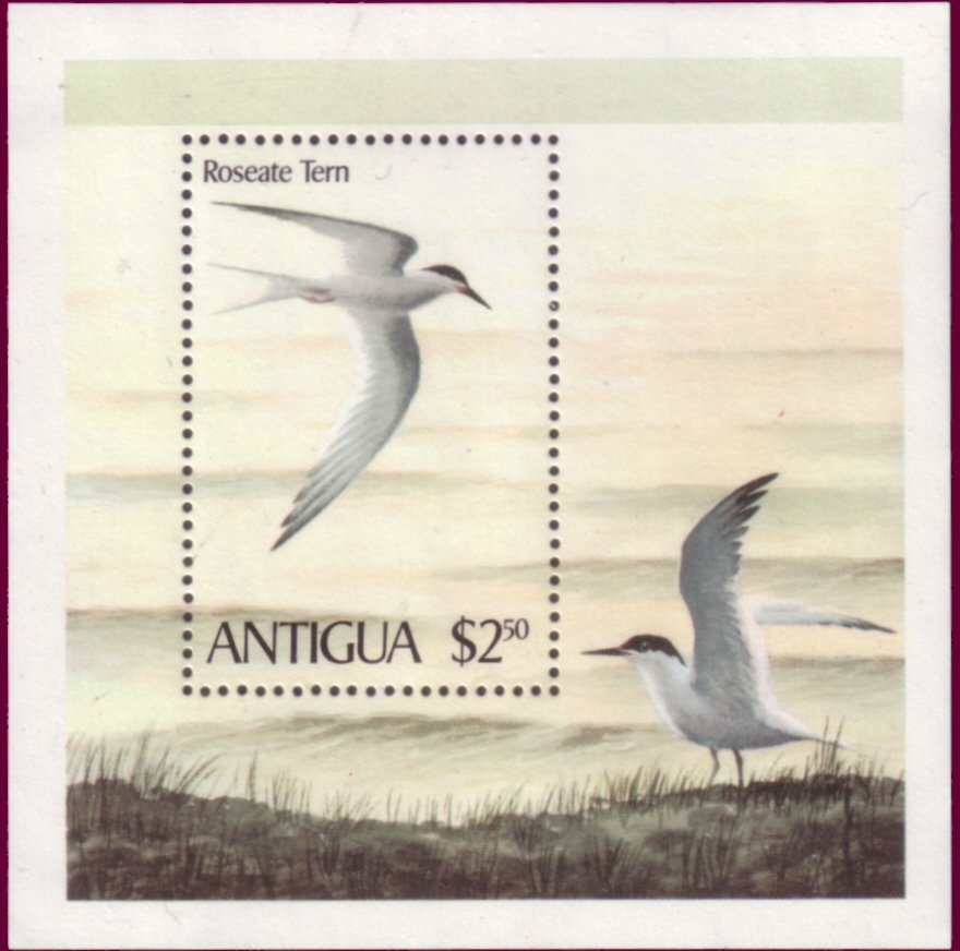 John F. Kennedy, 1917-1963