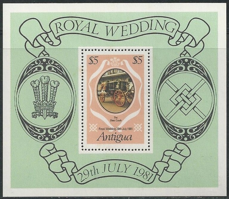 Wide-mash Sea Fan (Gorgonia mariae cavernosa)