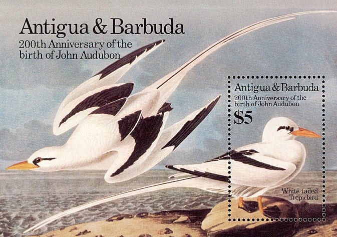 Apollo 11 Golden Anniversary