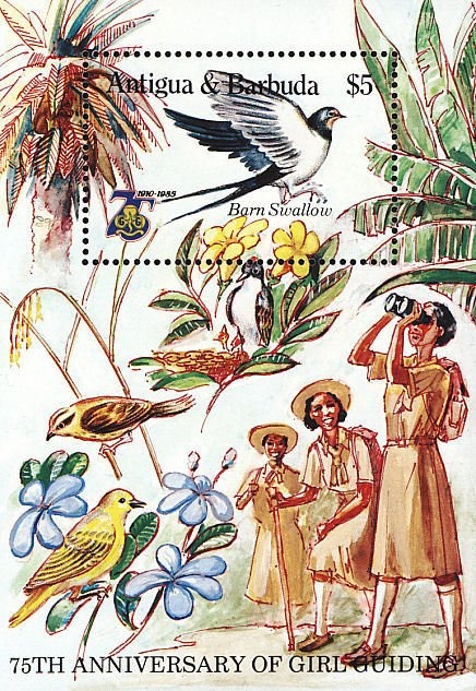 2 Ships and a Sailboat