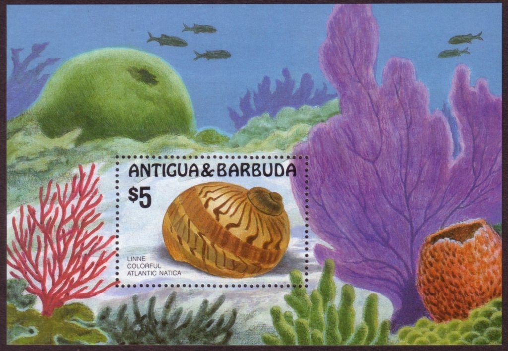 Hamlet holding Yorick's Skull