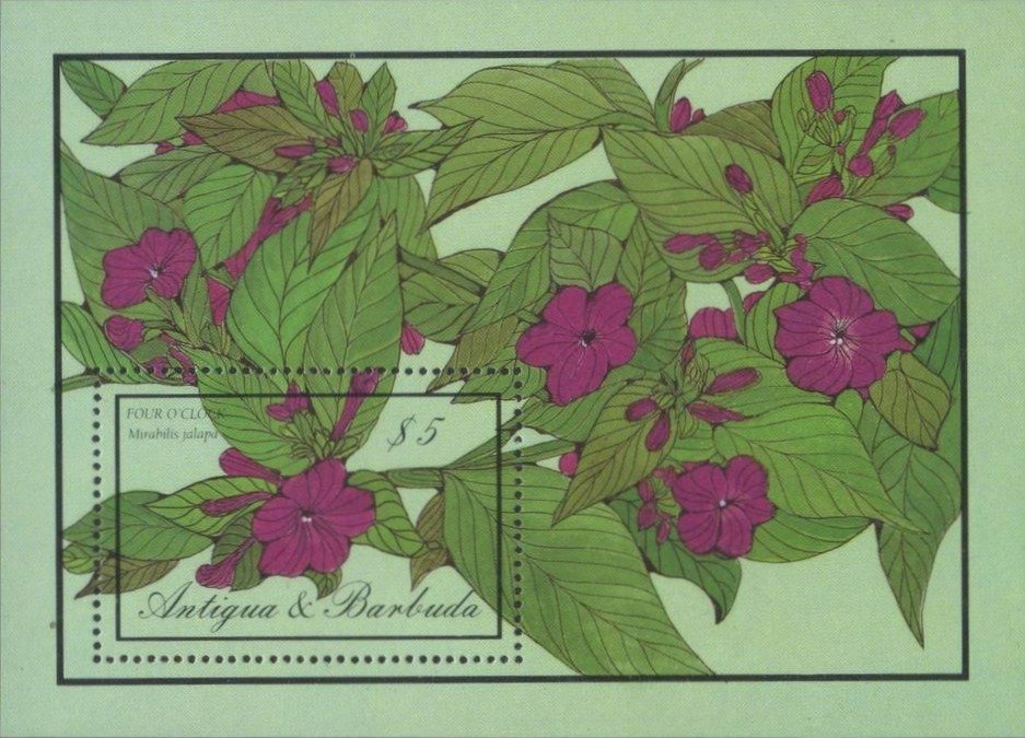 José Francisco de San Martín (1778-1850)