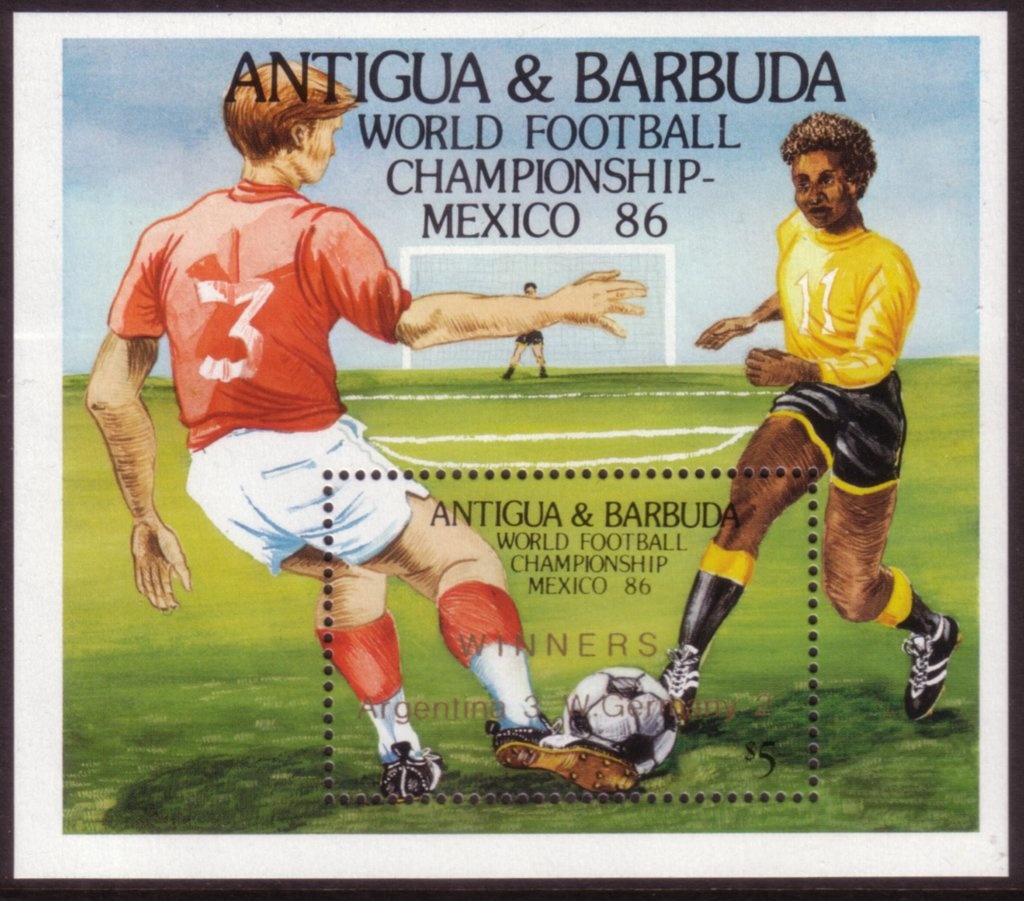 Desert Cottontail (Sylvilagus audubonii)