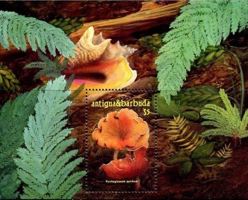 Duke and Duchess of Sussex