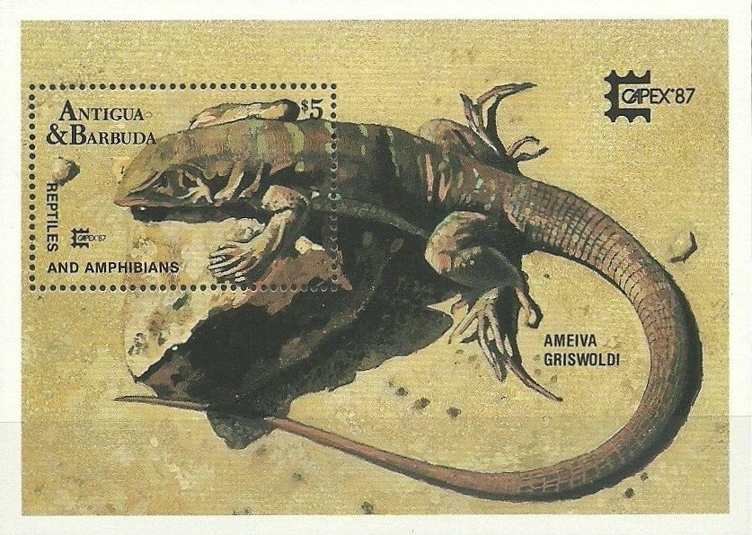 Pope Benedict XVI 80th Birthday