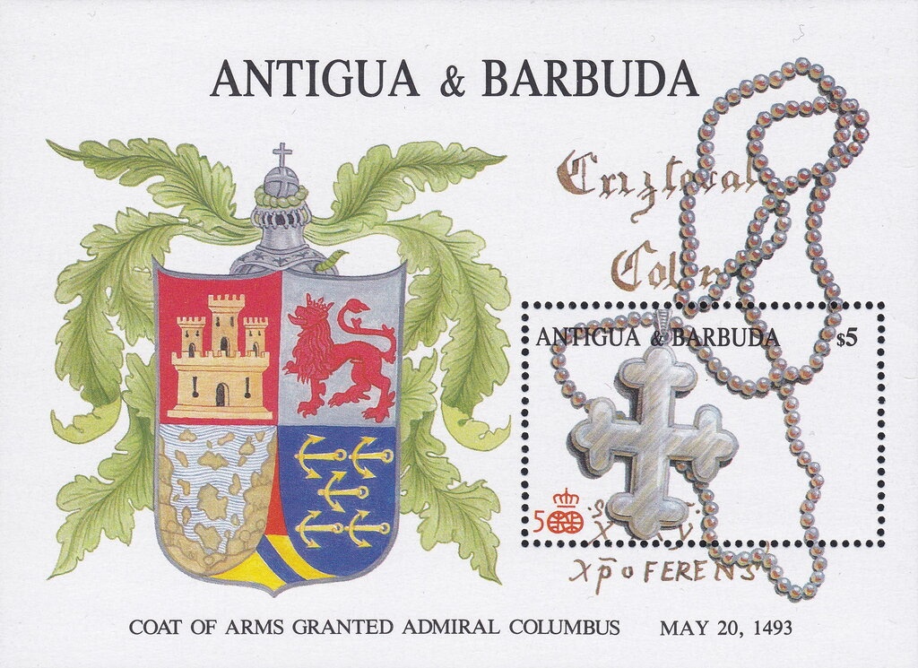 Young Aloe Vera Plant