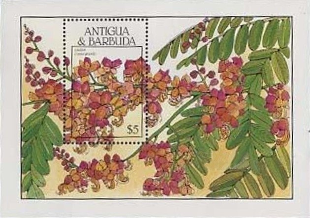 First Person in Space, 55th Anniversary