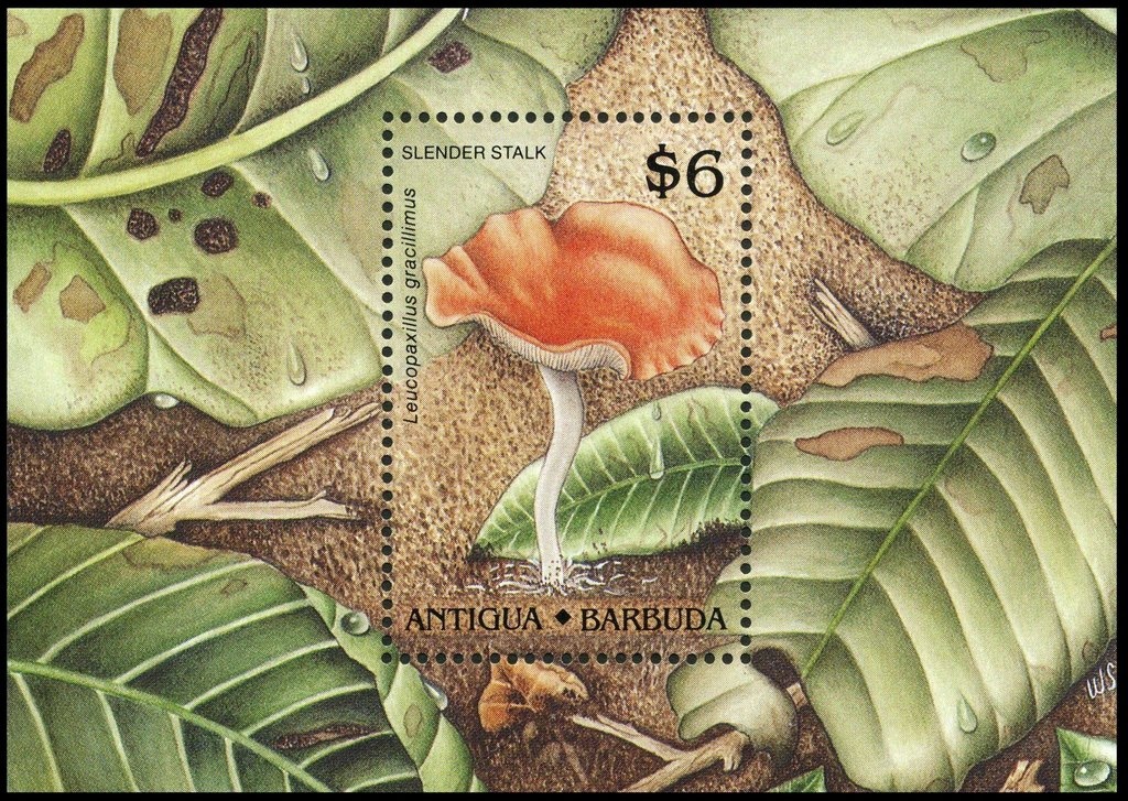 Trains of the World (2)