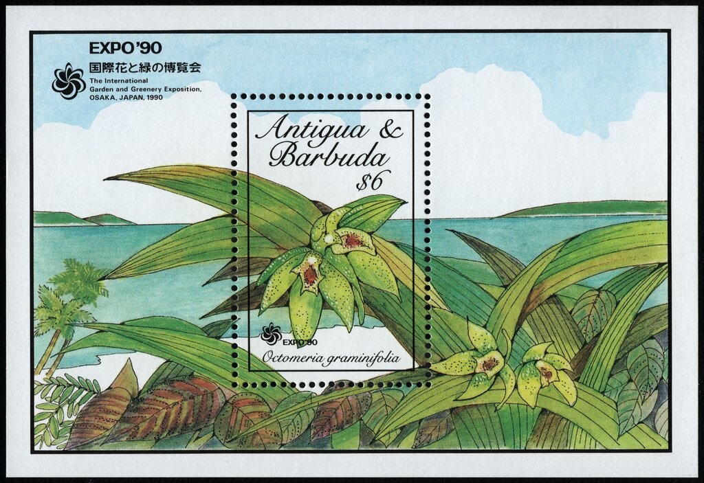 Chinese Zodiac Animals - Snake