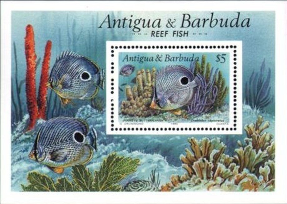 Princess Elizabeth Playing Piano