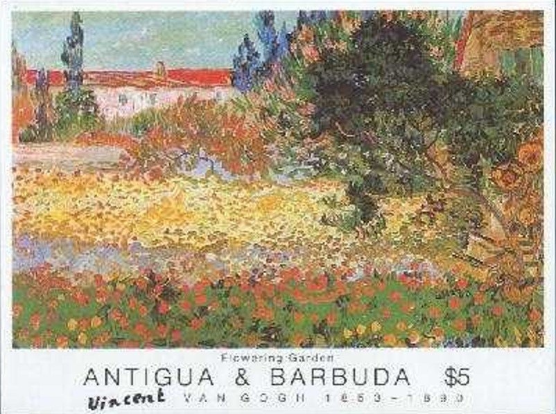 Chow Chow (Canis lupus familiaris)