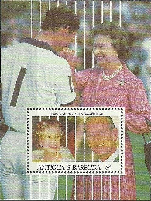 Head of Green Sea Turtle (Chelonia mydas)