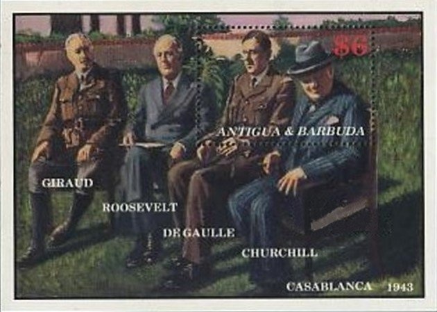 Hyacinth Macaw (Anodorhynchus hyacinthinus)