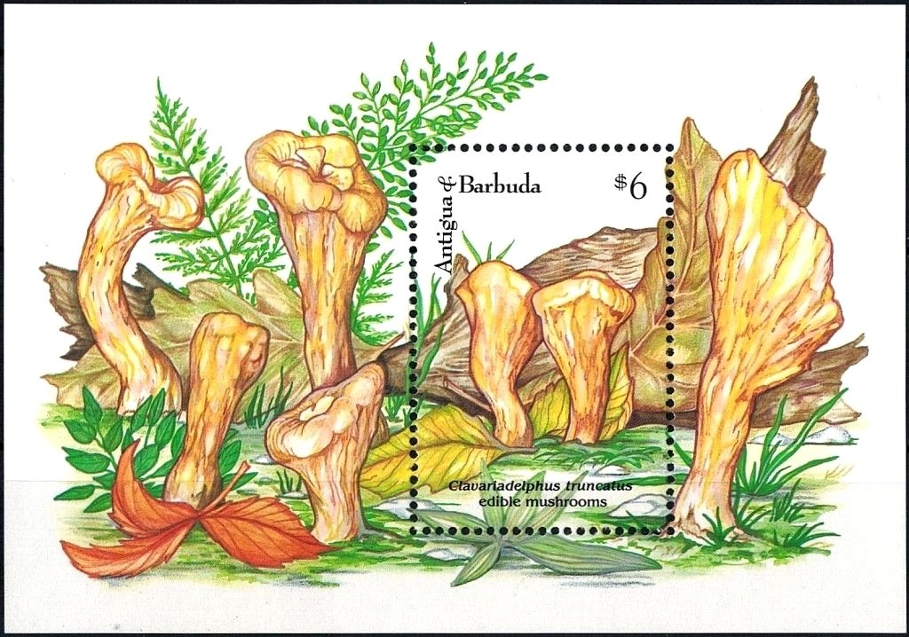 Agricultural workman