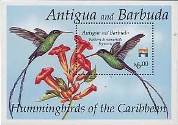 Dalmacio Vélez Sársfield