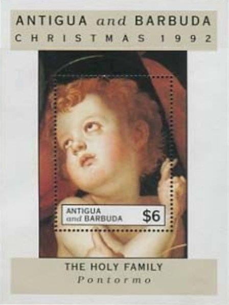 Turkey Vulture (Cathartes aura)