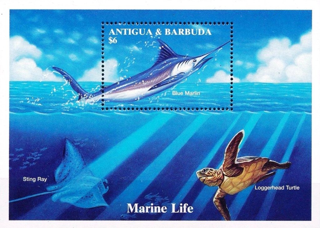 D-Day Focus on the Mullberry Harbors