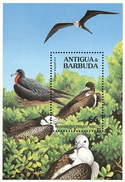 America's Cup Yachting Championship 1987