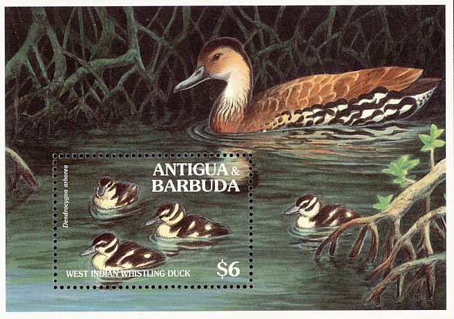 President John F. Kennedy 50th Inauguration Anniversary