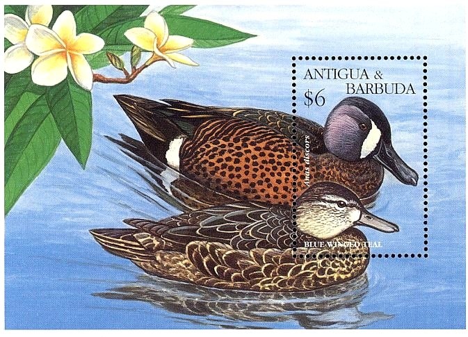 José Francisco de San Martín (1778-1850)