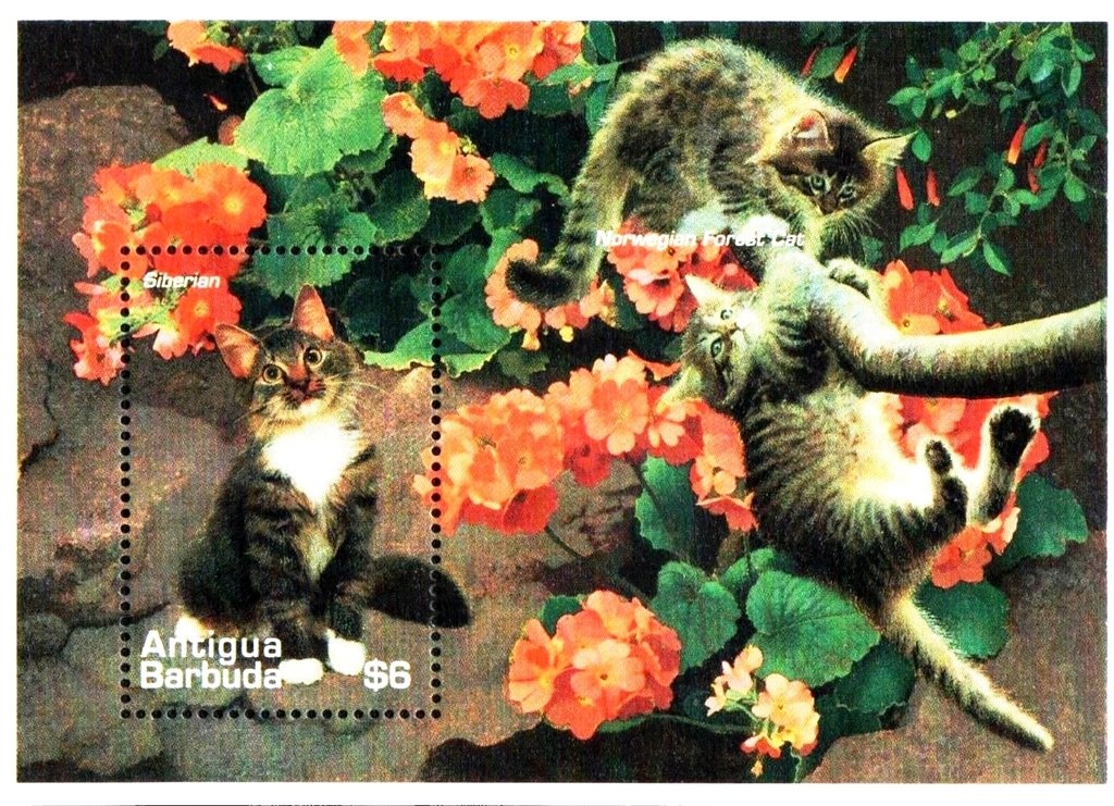 Rare stamps of the world - Geneva, Switzerland