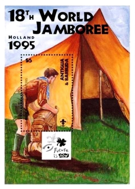 Caribbean Coot (Fulica caribaea) Feeding Chick