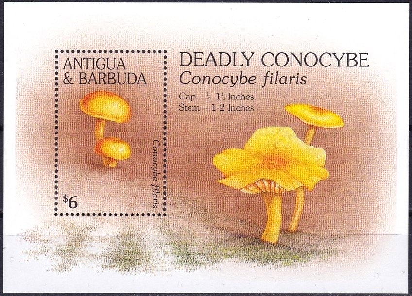 Connstitutional Reform Convention