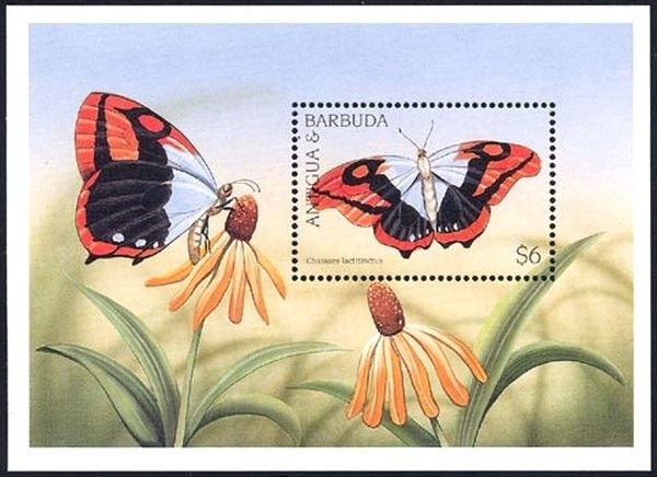 Carib Indian and War Canoe