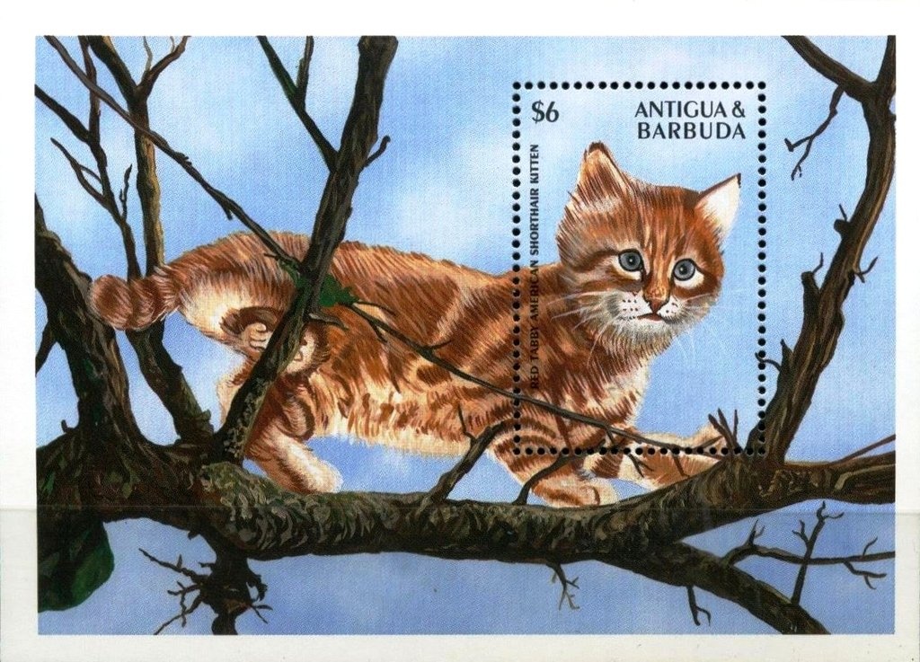 "Sol Quest" (yacht) and Class Emblem