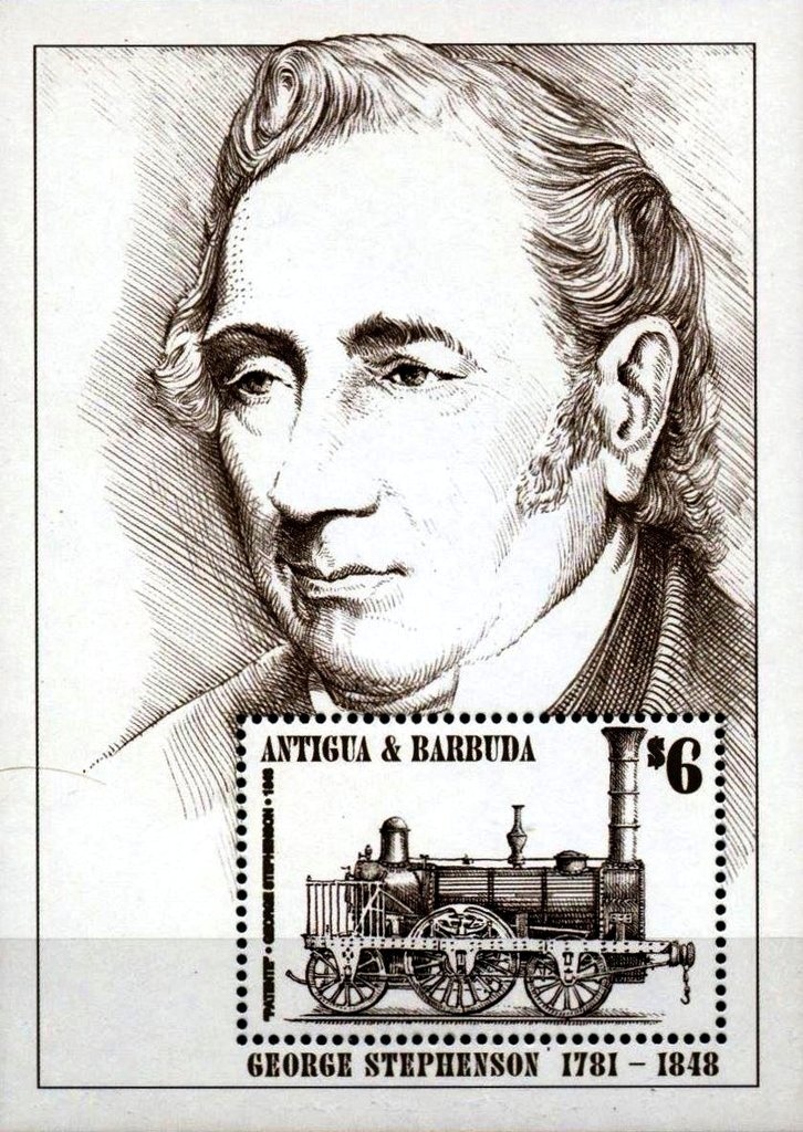 Wire-haired Dachshund