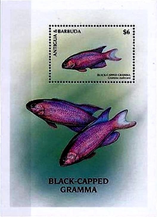 José Francisco de San Martín (1778-1850)