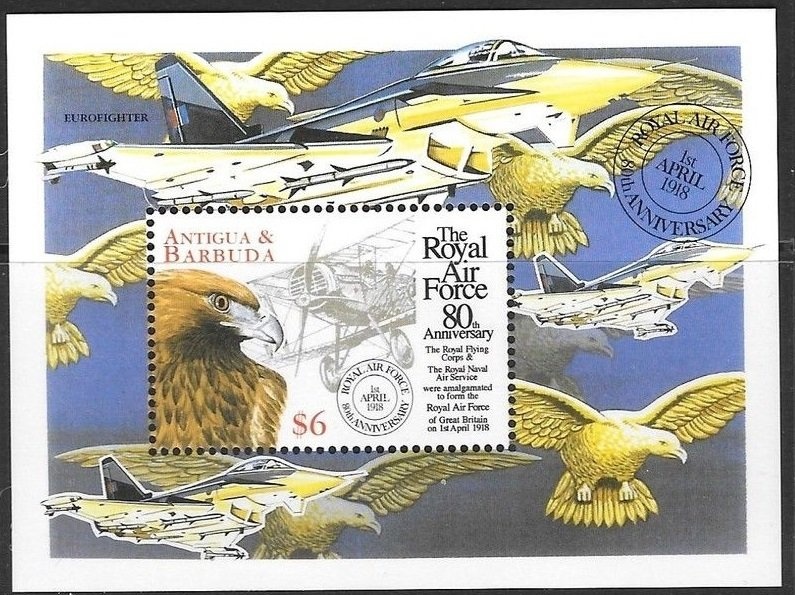 California Sea Lion (Zalophus californianus)