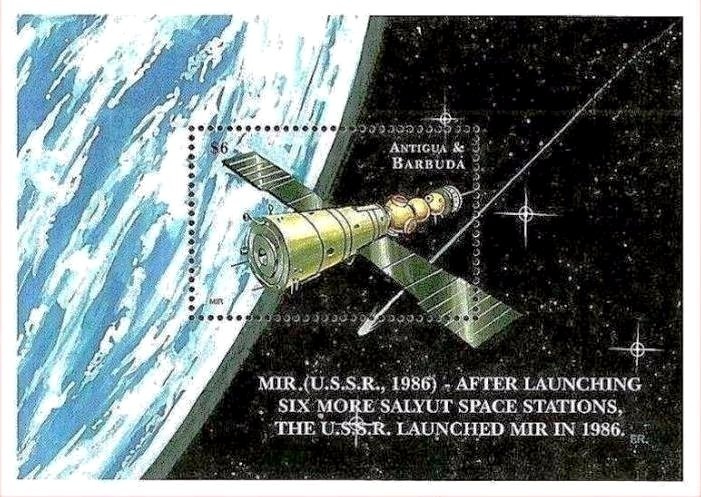 Blue-and-yellow Macaw (Ara ararauna)
