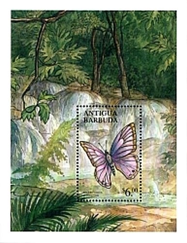 Flamingo Tongue (Cyphoma gibbosum)