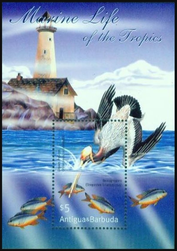 Summer Olympic Games 1992 - Barcelona (4)