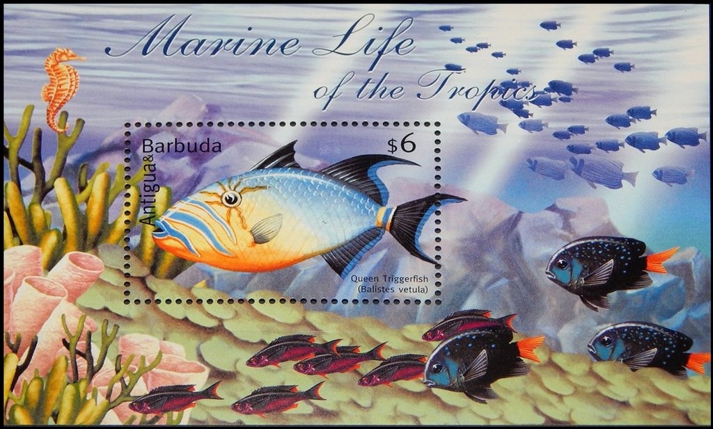 Statue of Gen. Julio Roca (1843-1914)