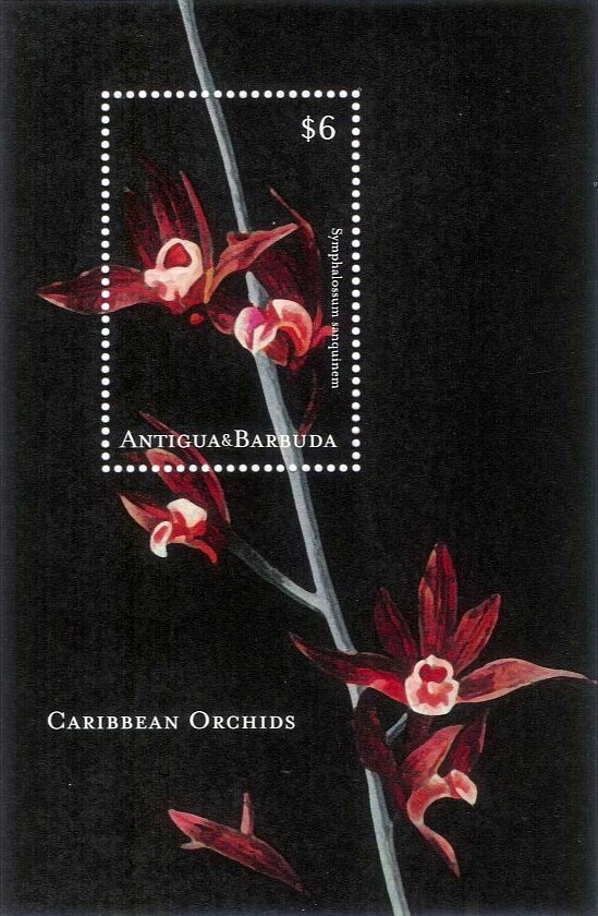 José Francisco de San Martín (1778-1850)